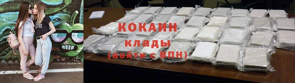 шишки Нязепетровск