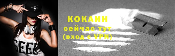 ALPHA PVP Няндома