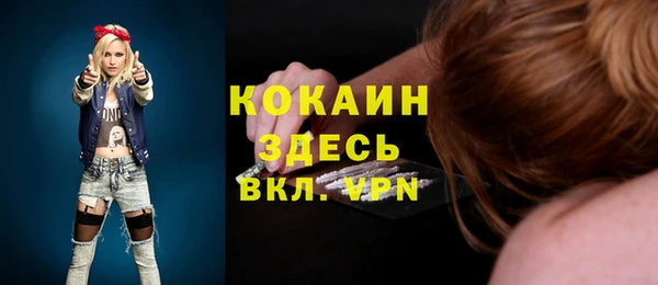 ALPHA PVP Няндома