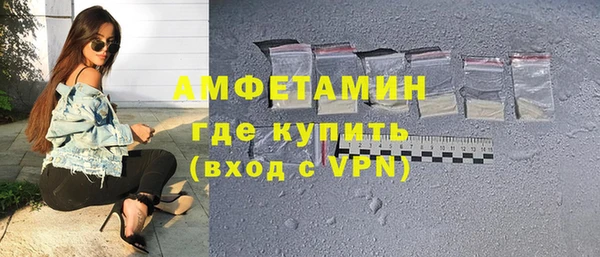 шишки Нязепетровск