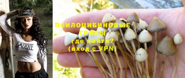 PSILOCYBIN Горно-Алтайск