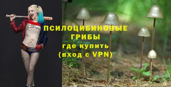 ALPHA PVP Няндома