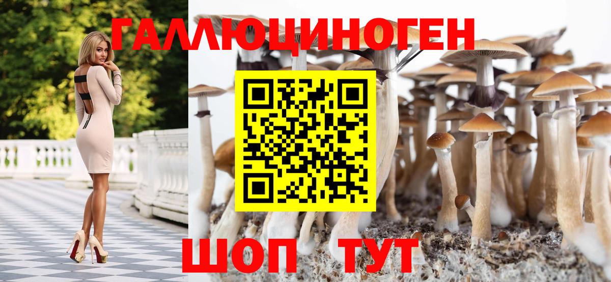 Галлюциногенные грибы MAGIC MUSHROOMS  Галлюциногенные грибы мухоморы  Асбест 