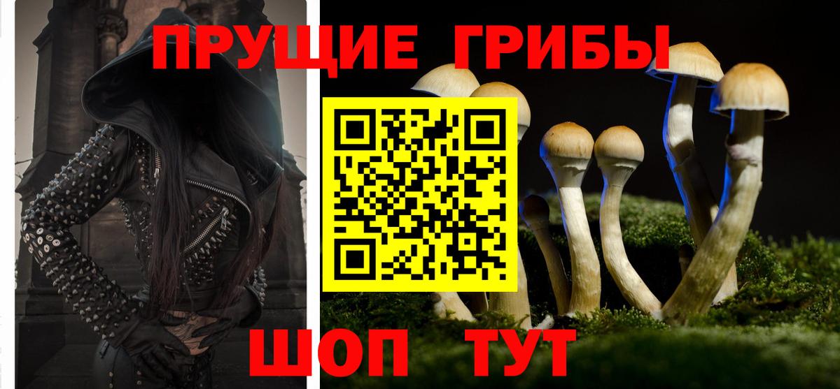 Псилоцибиновые грибы MAGIC MUSHROOMS Асбест